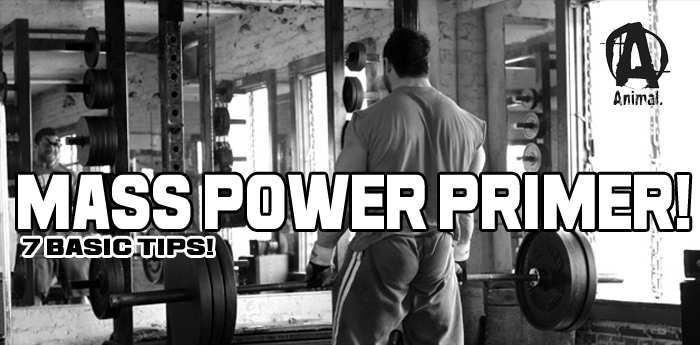 Mass Power Primer